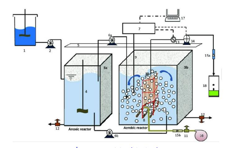 Bể Anoxic trong quá trình xử lý nước thải